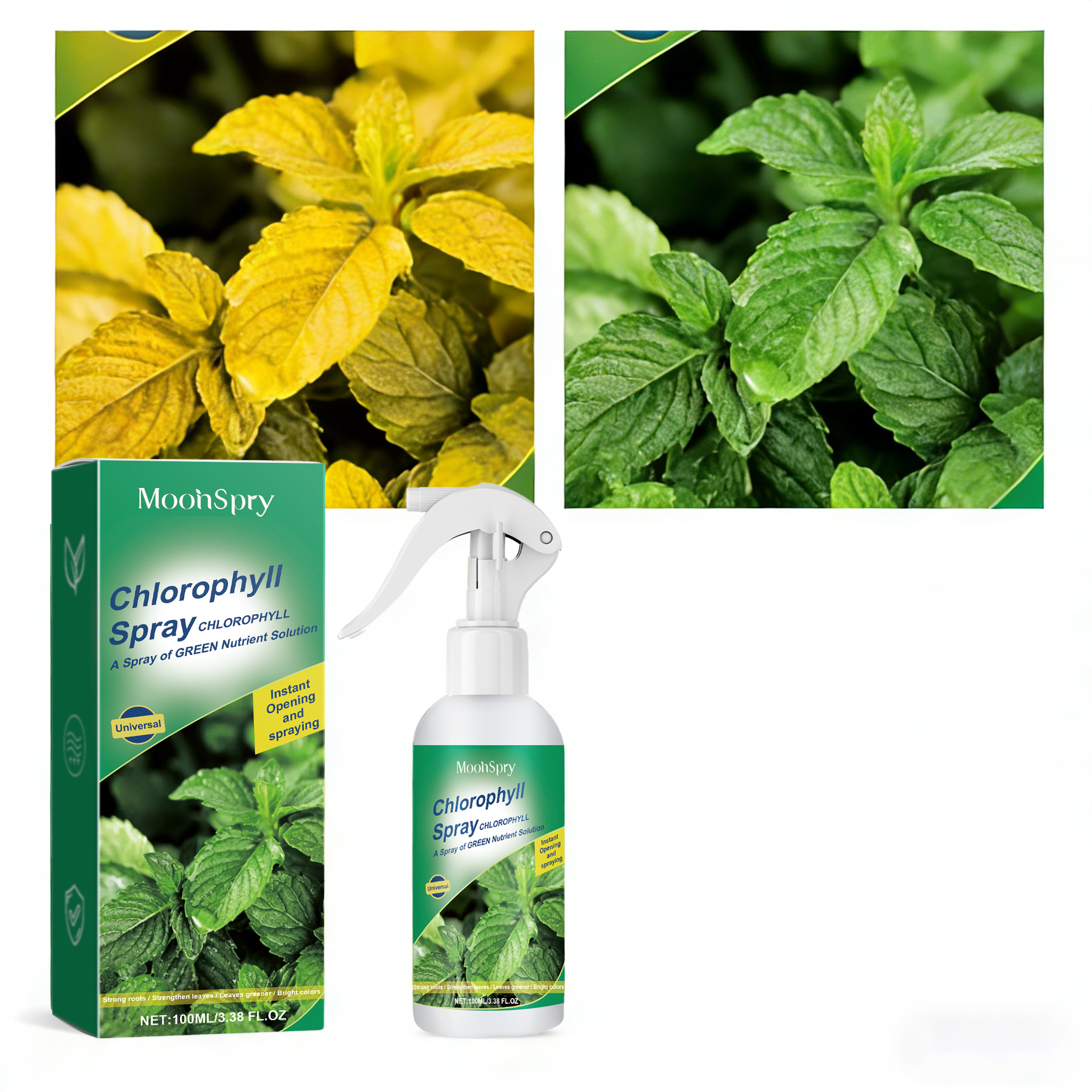 Liquid Fertilizer All In - Moonspry Plant Chlorophyll Foliar Spray All-Purpose