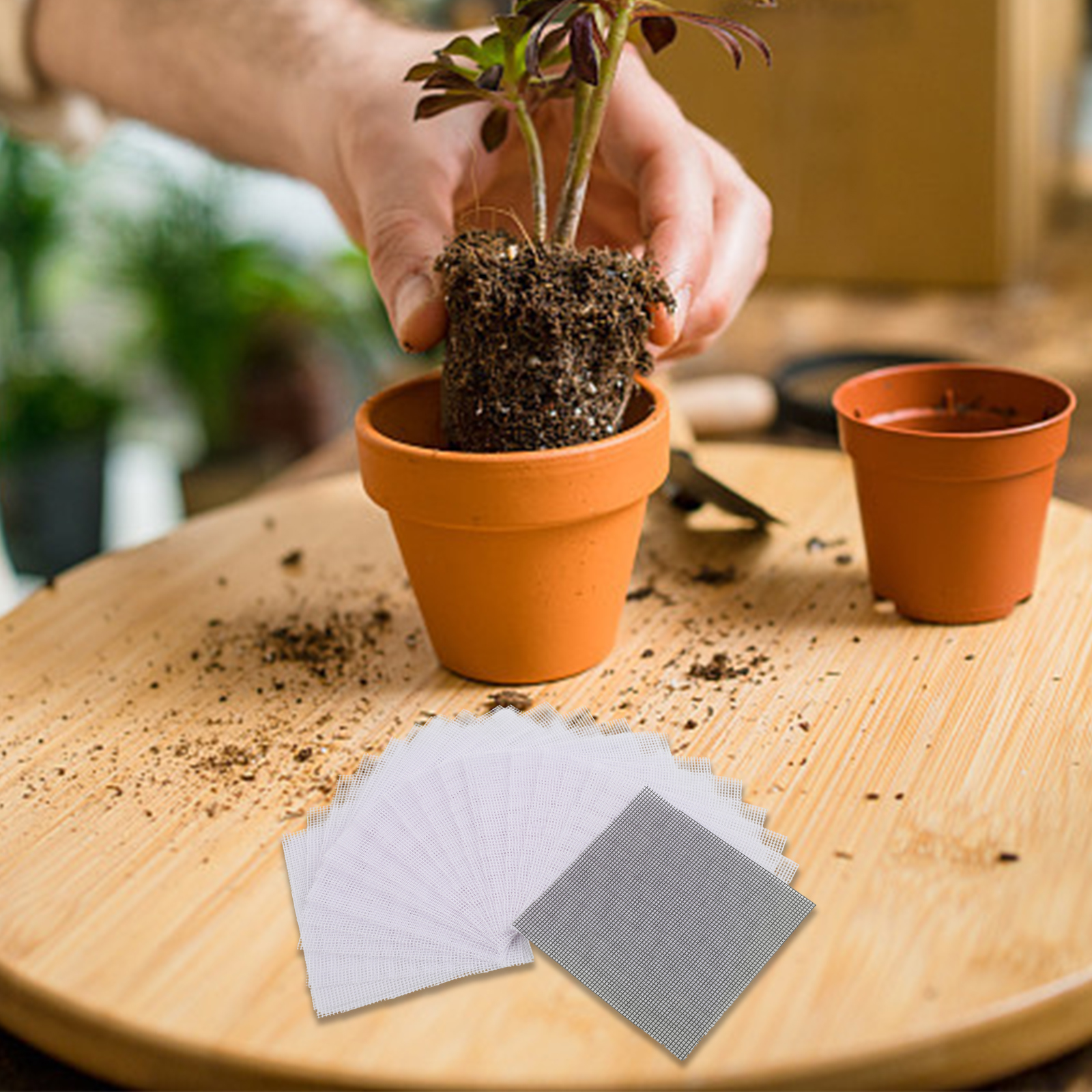 Tissue Culture Plant - Gardening Projects Flower Pot Net Mesh