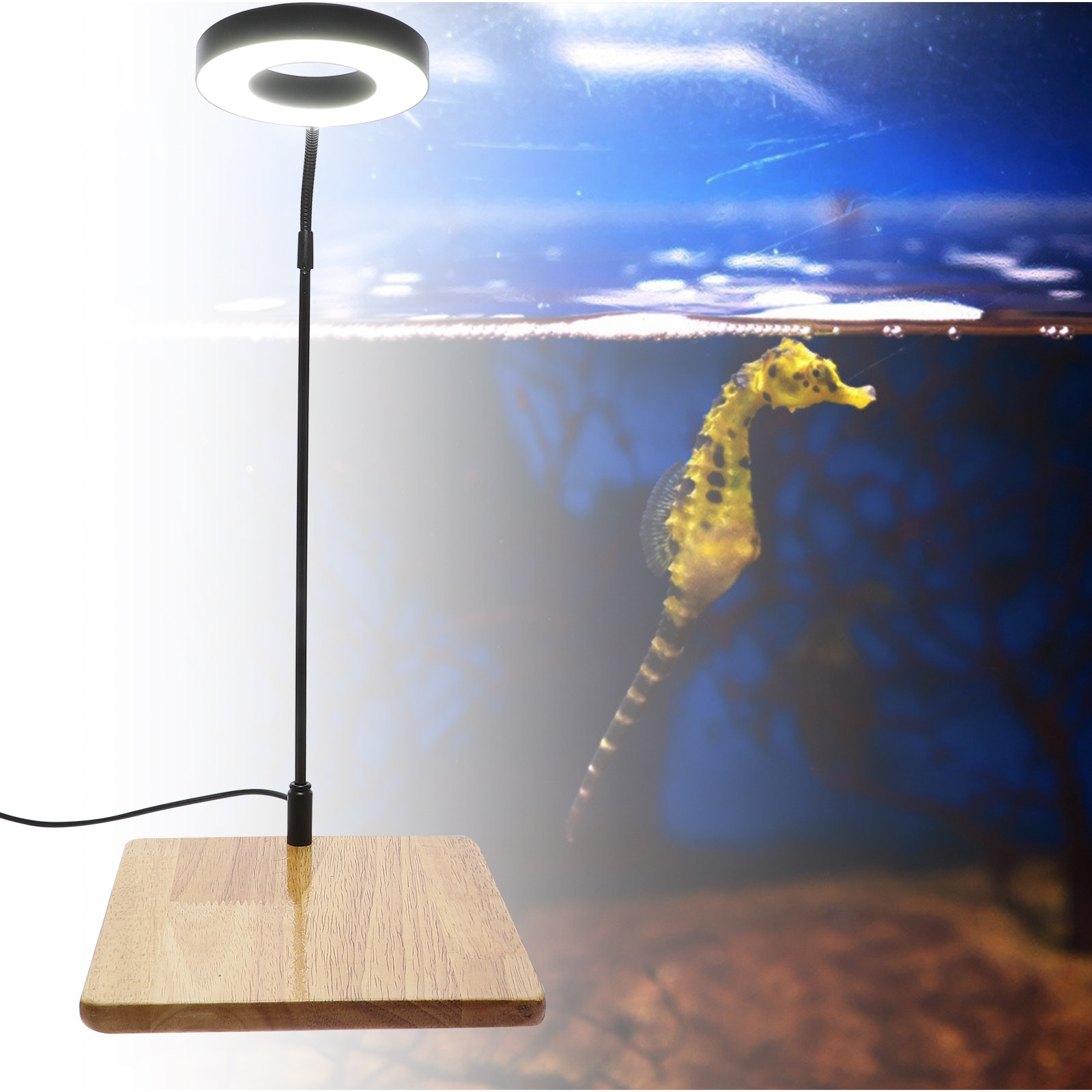 Aquarium Plant Ornament - 1Pcs Aquarium Fill Light High Brightness
