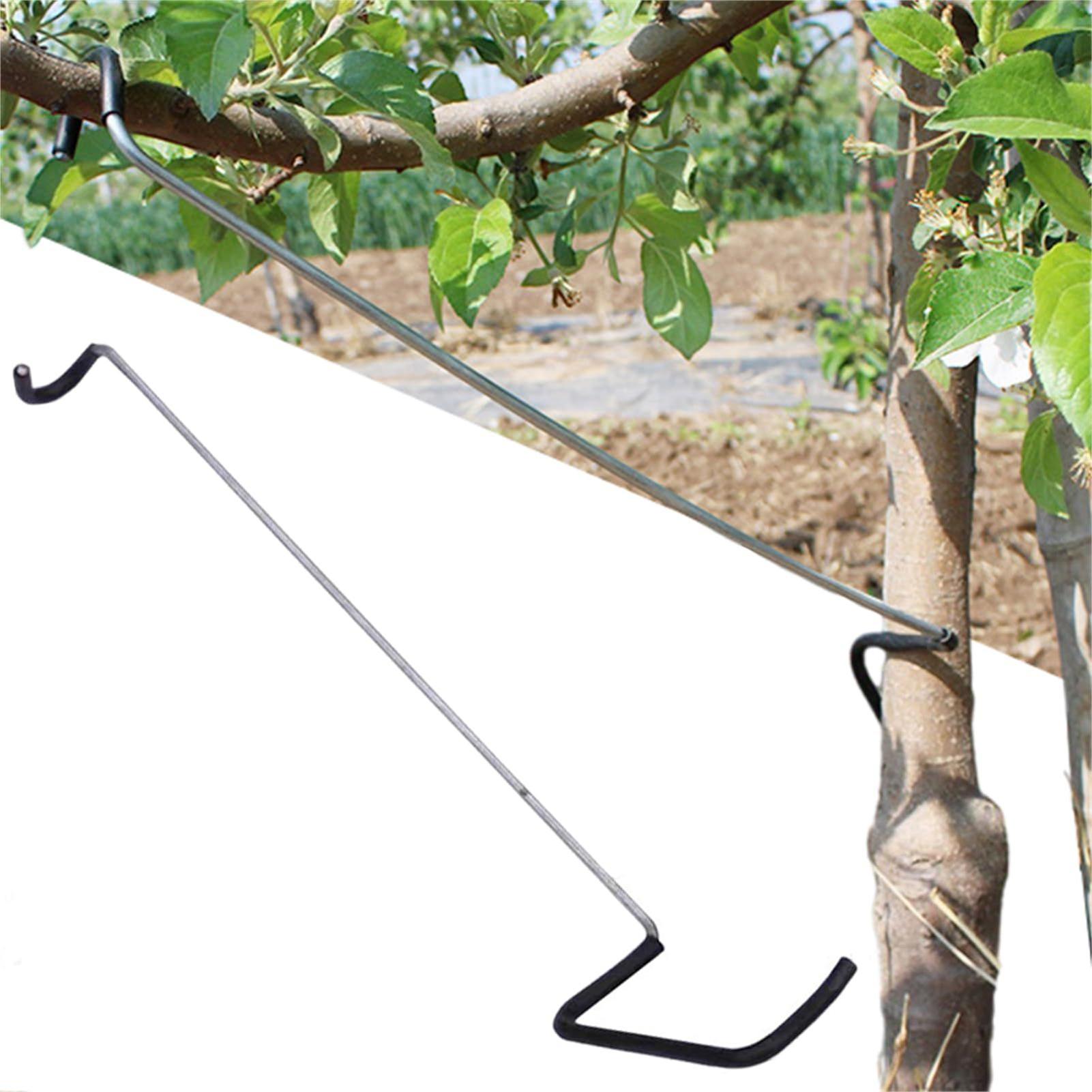 Tissue Culture Plant - Fruit Tree Branch Spreader 10Pcs/set Garden