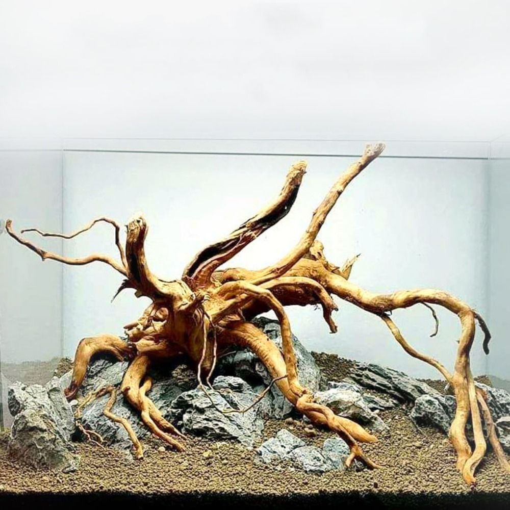 Aquarium Plant Root Tabs - Large Aquarium Driftwood Natural Fish Tank