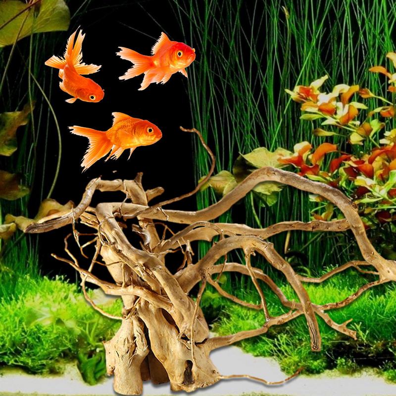 Aquarium Plant Guide - Tree Trunk Micro Landscape Reptile Cylinder