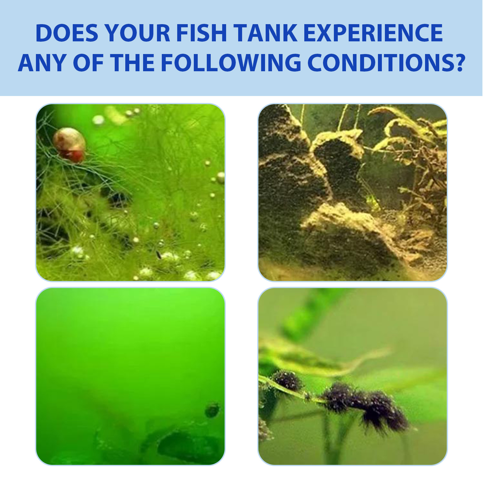 Biological Aquarium Algae Cont - مراجعة Planted Aquarium Algae Control وسعره
