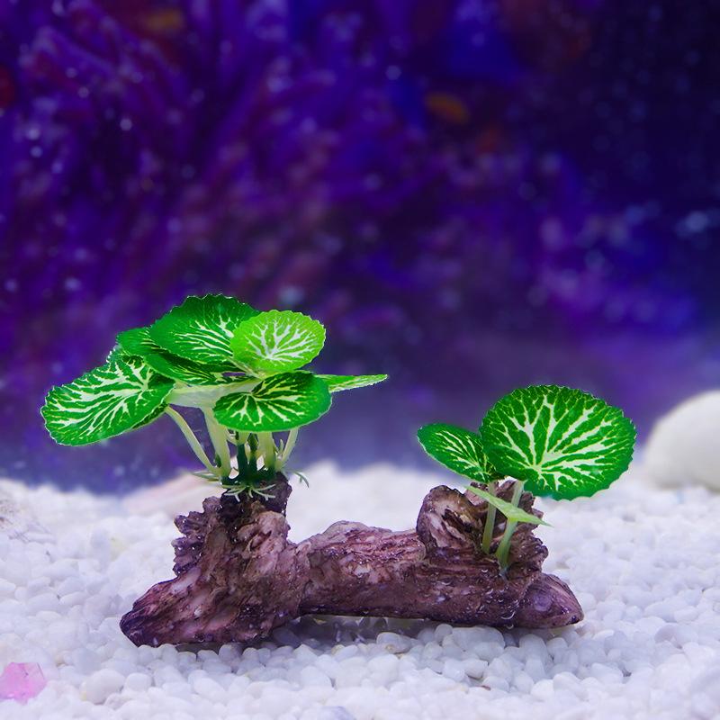 Aquarium Ornaments Simulation  - مراجعة Aquarium Plant Ornament وسعره