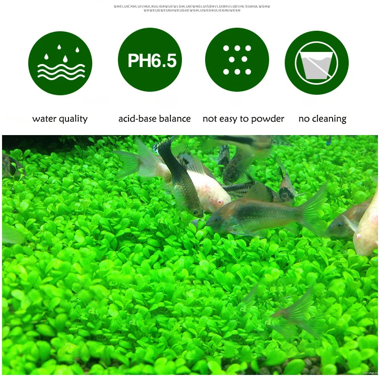 Fish Tank Water Grass Mud Plan - مراجعة Aquarium Plant Root Tabs وسعره