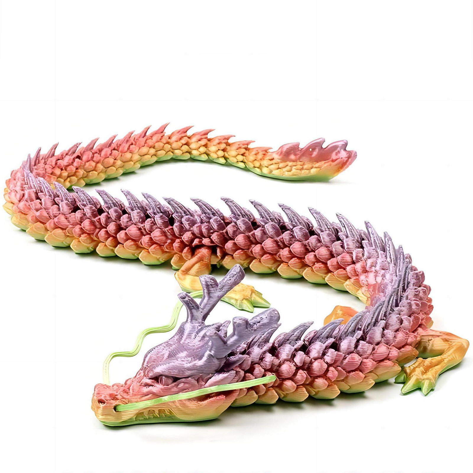3D Printed Conjoined Dragon Or - مراجعة Aquarium Plants Book وسعره