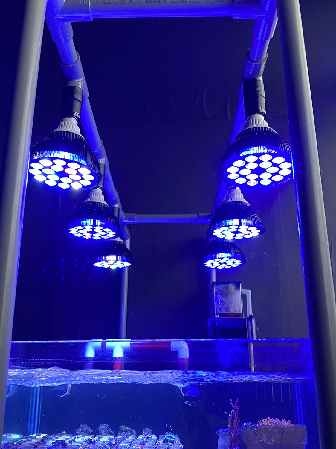 Full specturm LED Aquarium Ree - مراجعة Aquarium Plant Ornament وسعره