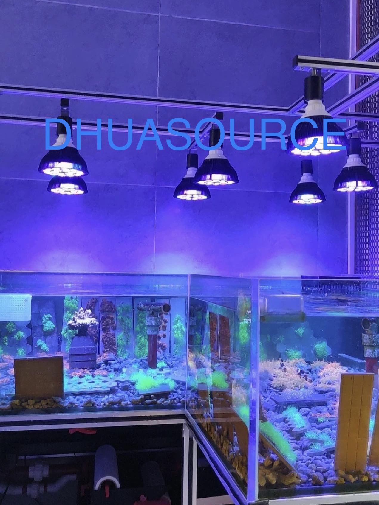 Full specturm LED Aquarium Ree - مراجعة Aquarium Plant Ornament وسعره