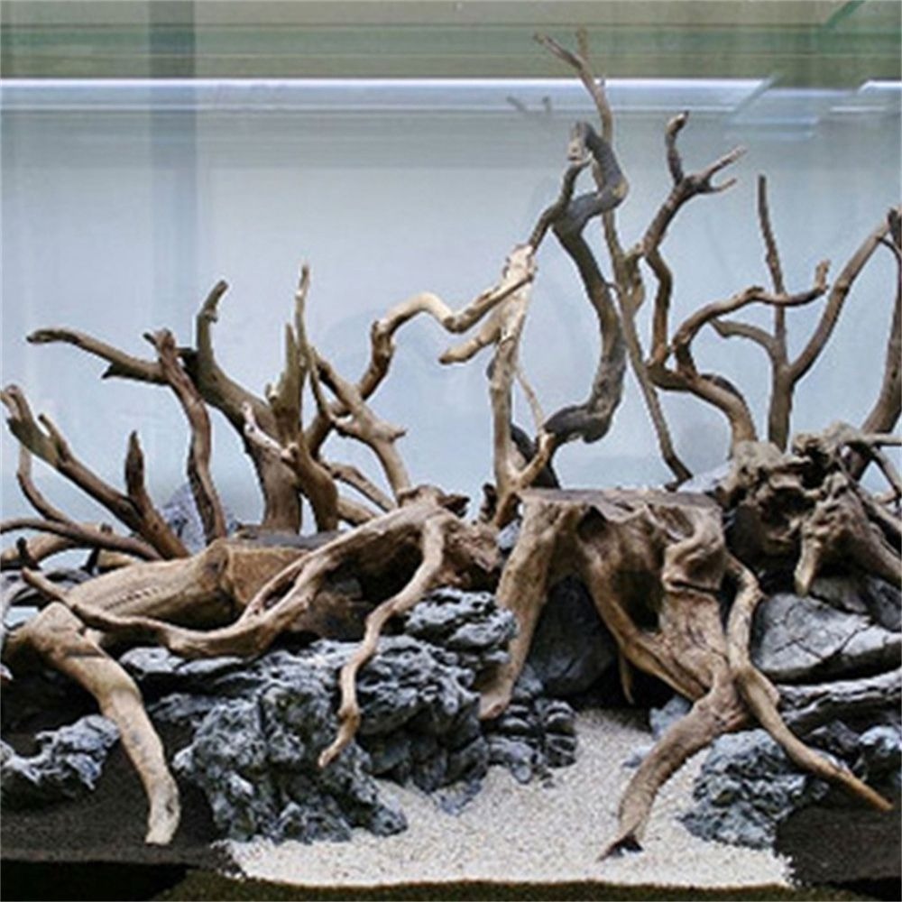 New Natural Wooden Fish Tank D - مراجعة Aquarium Plant Root Tabs وسعره
