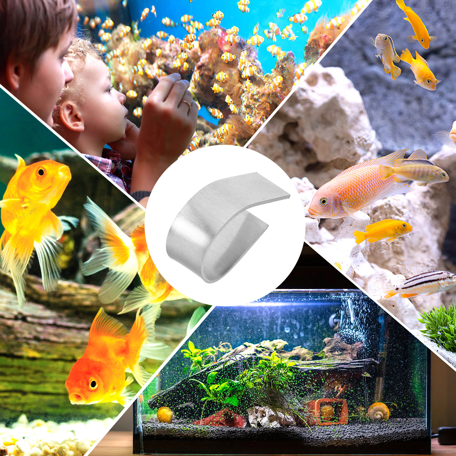 25Pcs Aquatic Plant Fixed Ring - مراجعة Planted Aquarium For Beginners وسعره