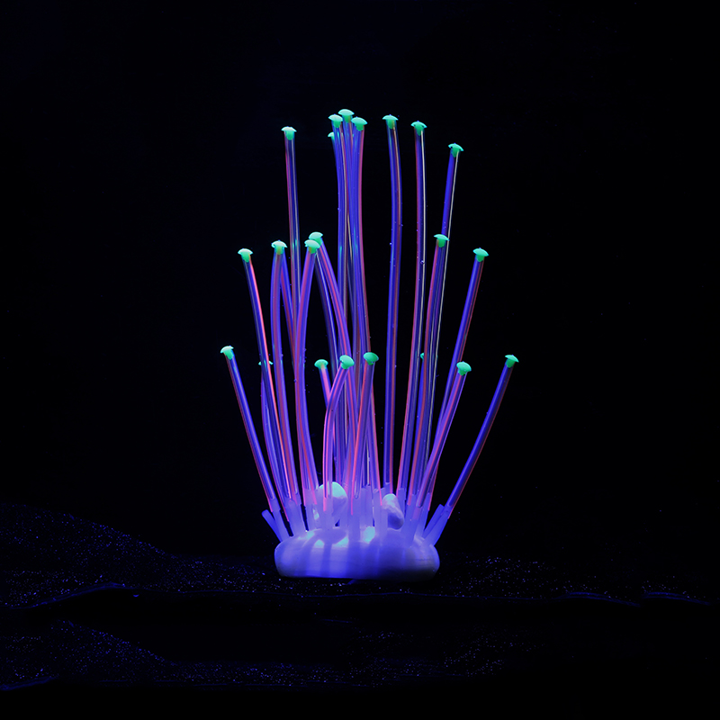 Silicone Emulation Coral Dual  - مراجعة Aquarium Plant Glue وسعره