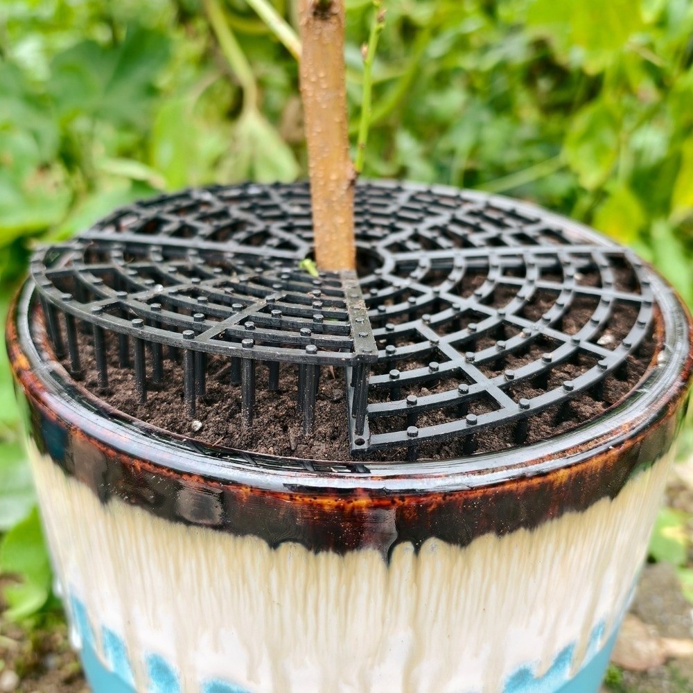 Breathable Mesh Plant Pot Soil - مراجعة Tissue Culture Plant وسعره