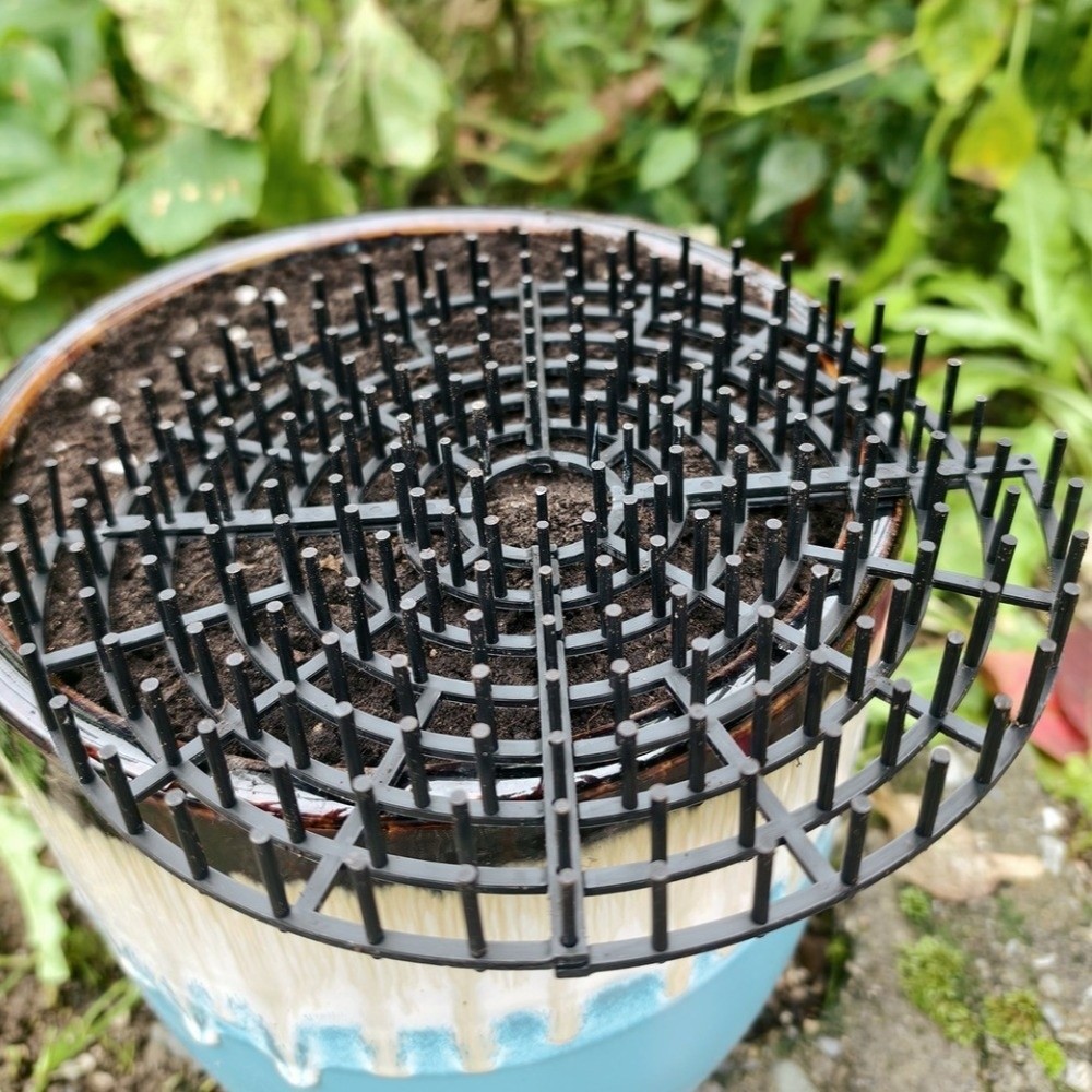 Breathable Mesh Plant Pot Soil - مراجعة Tissue Culture Plant وسعره