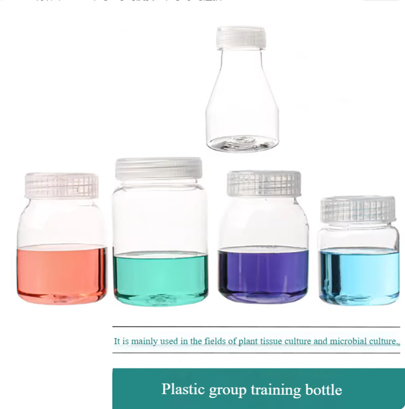 10pcs Plastic tissue culture b - مراجعة Tissue Culture Plant وسعره