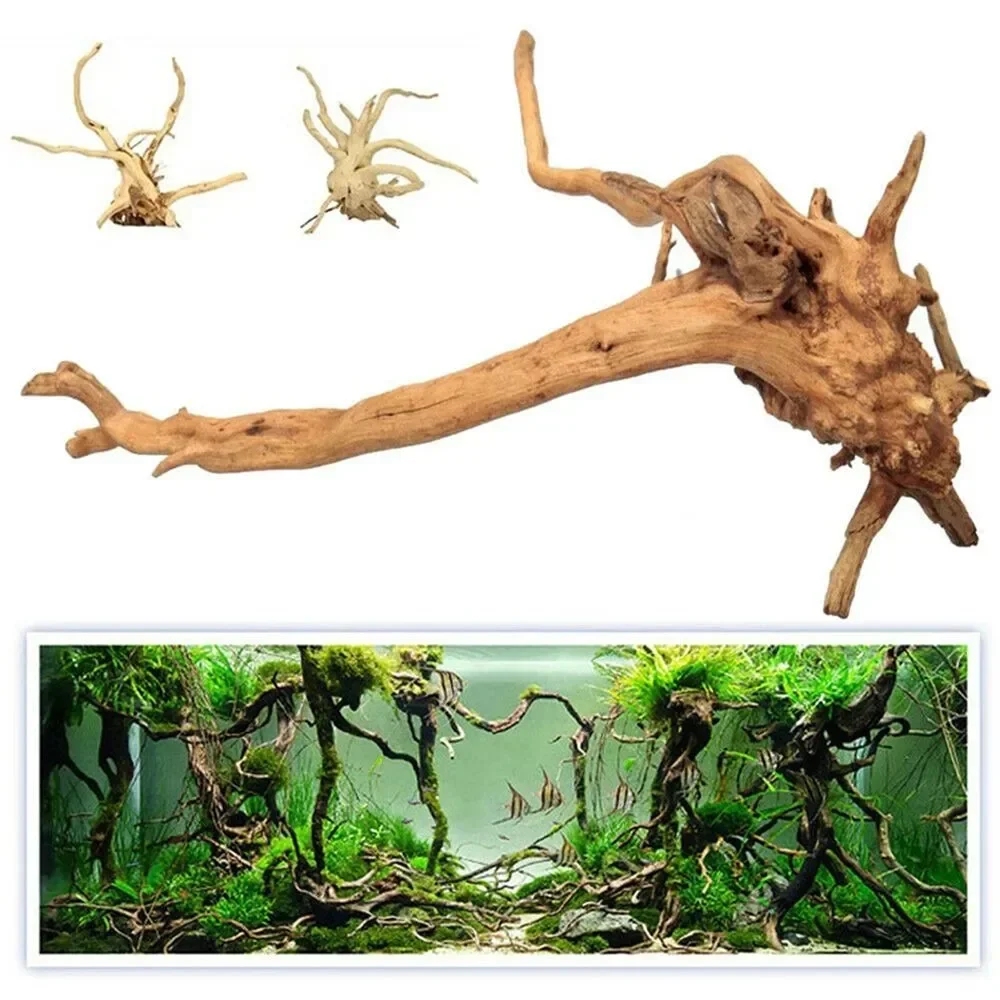 Natural Wooden Fish Tank Decor - مراجعة Aquarium Plant Root Tabs وسعره