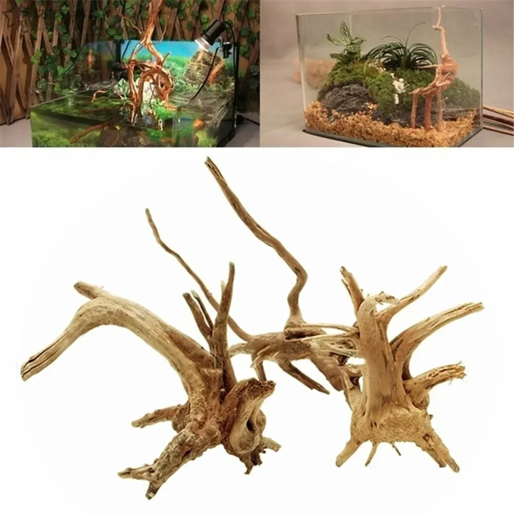 Natural Wooden Fish Tank Decor - مراجعة Aquarium Plant Root Tabs وسعره