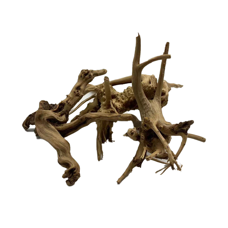 Natural Tree Trunk Driftwood A - مراجعة Aquarium Plant Root Tabs وسعره