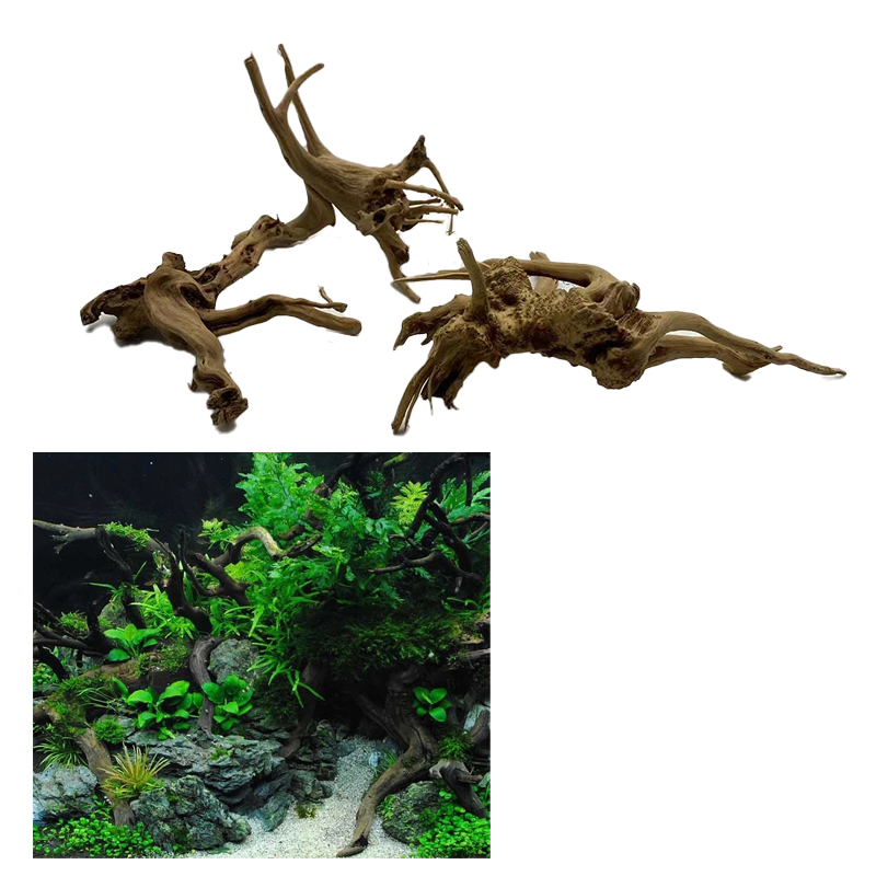 Natural Tree Trunk Driftwood A - مراجعة Aquarium Plant Root Tabs وسعره