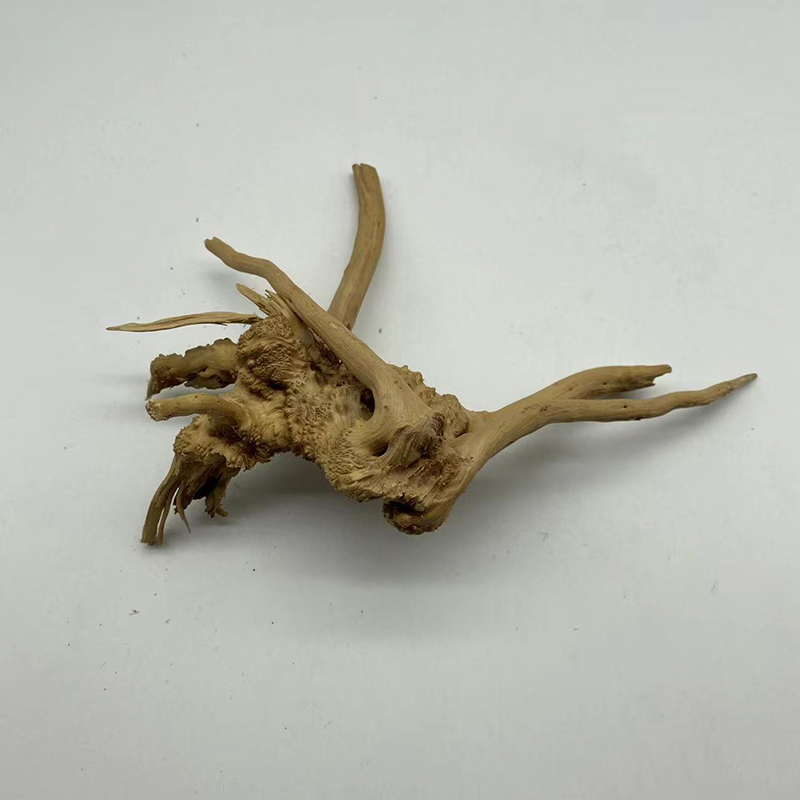 Natural Tree Trunk Driftwood A - مراجعة Aquarium Plant Root Tabs وسعره