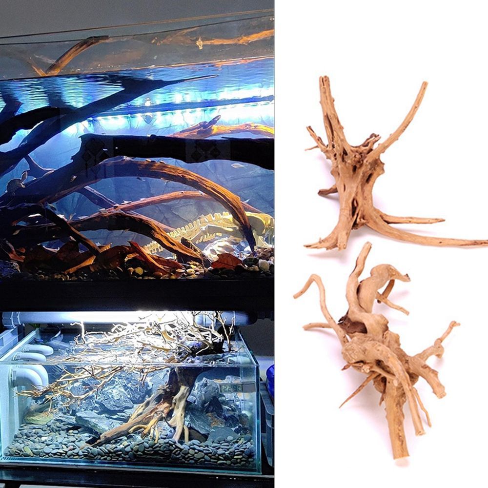 Aquarium Driftwood Natural Fis - مراجعة Aquarium Plant Root Tabs وسعره