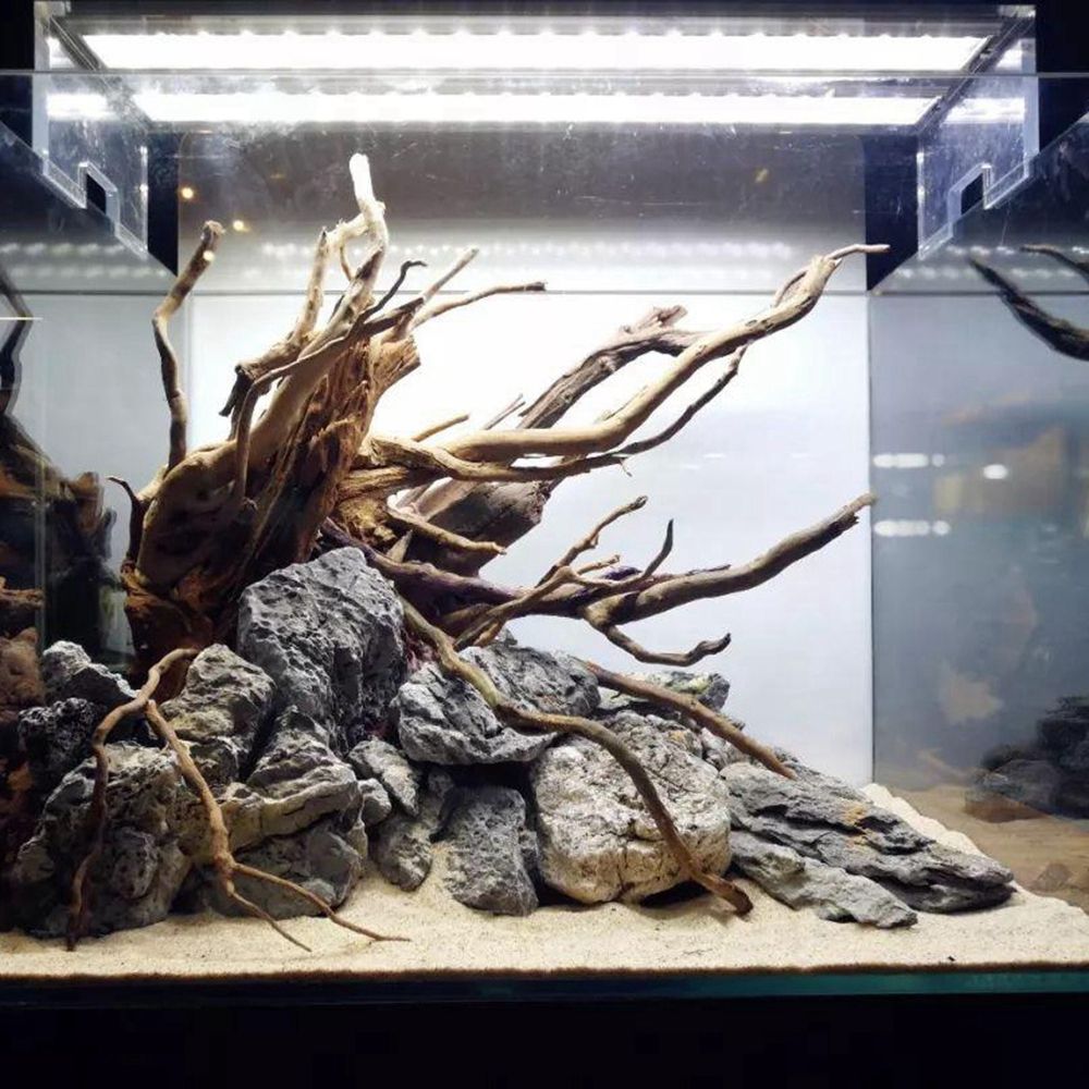 Aquarium Driftwood Natural Fis - مراجعة Aquarium Plant Root Tabs وسعره