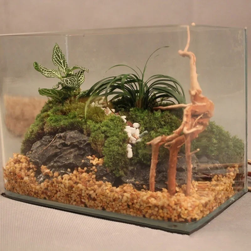 Natural Tree Trunk Driftwood A - مراجعة Aquarium Plant Root Tabs وسعره