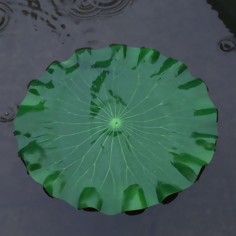 2026 Artificial Water Lily Lot - مراجعة Aquarium Plants Book وسعره