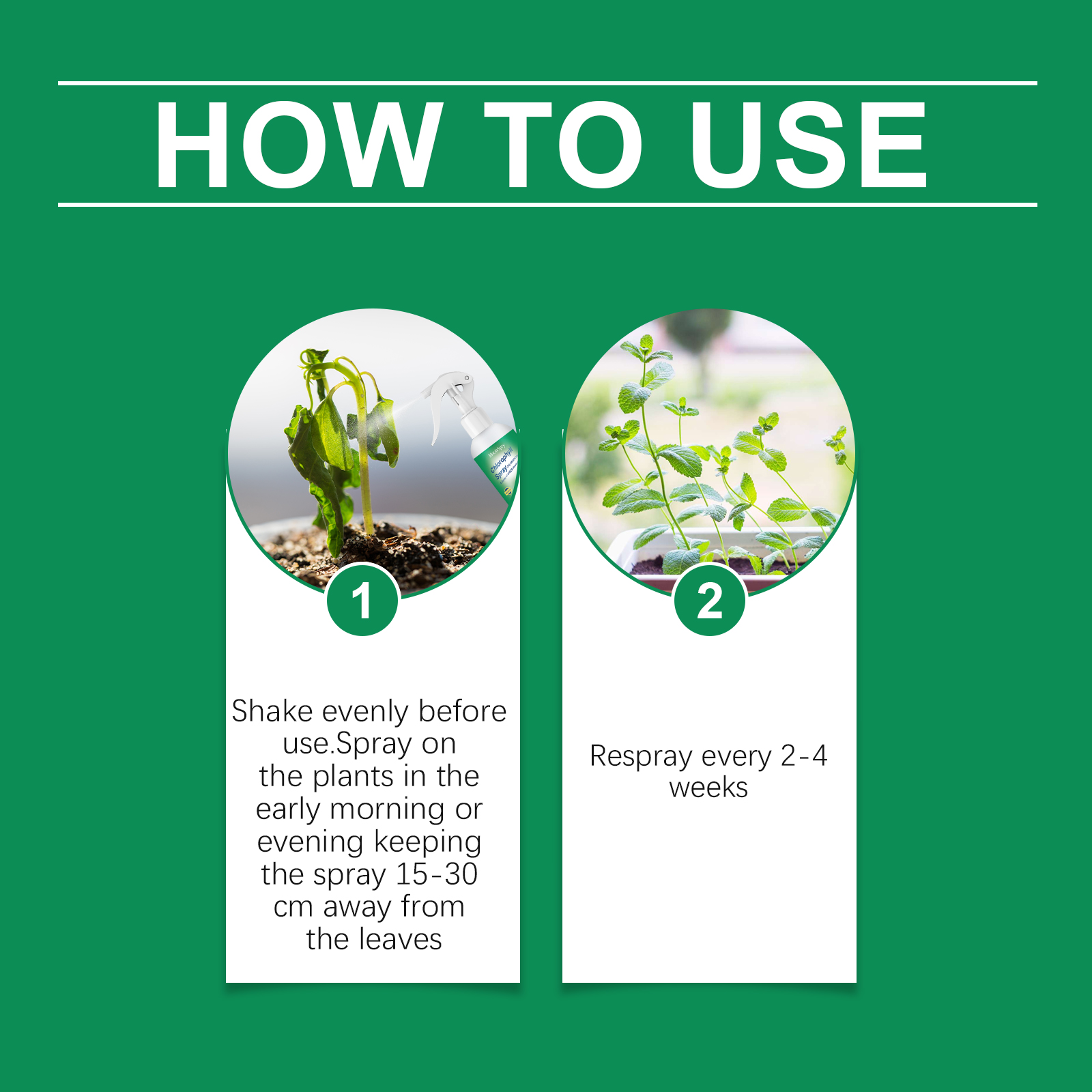 Moonspry Plant Chlorophyll Fol - مراجعة Liquid Fertilizer All In وسعره