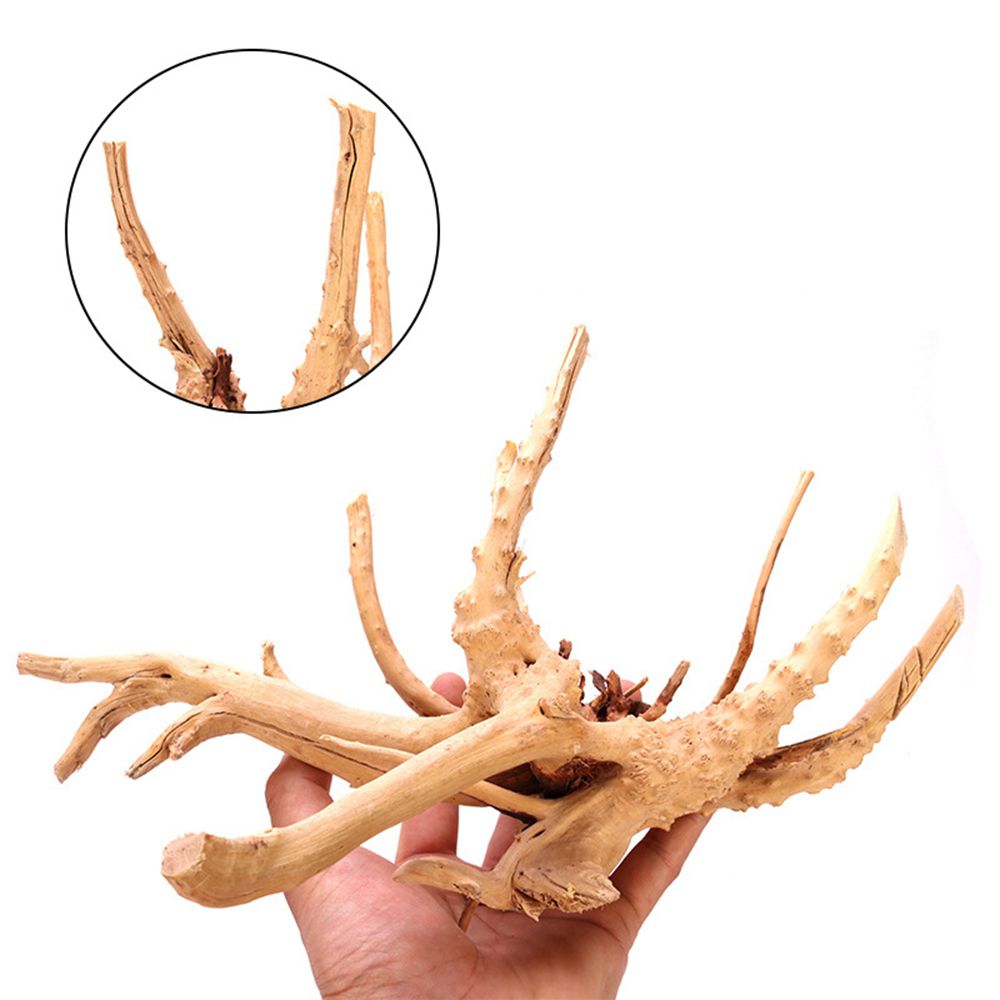 1 Pcs Wood Natural Trunk Drift - مراجعة Aquarium Plant Root Tabs وسعره