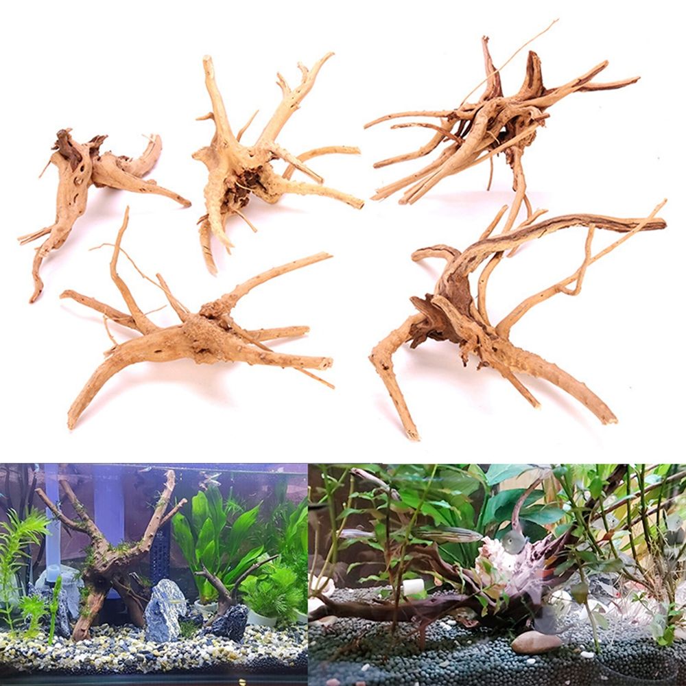 1 Pcs Wood Natural Trunk Drift - مراجعة Aquarium Plant Root Tabs وسعره