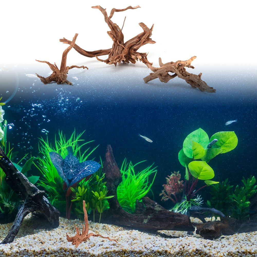 1 Pcs Wood Natural Trunk Drift - مراجعة Aquarium Plant Root Tabs وسعره