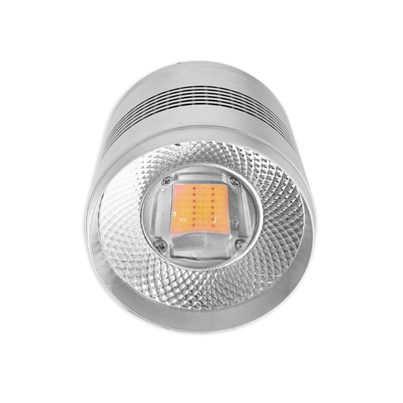 70W LED Aquarium Light for Fre - مراجعة Planted Aquarium Algae Control وسعره