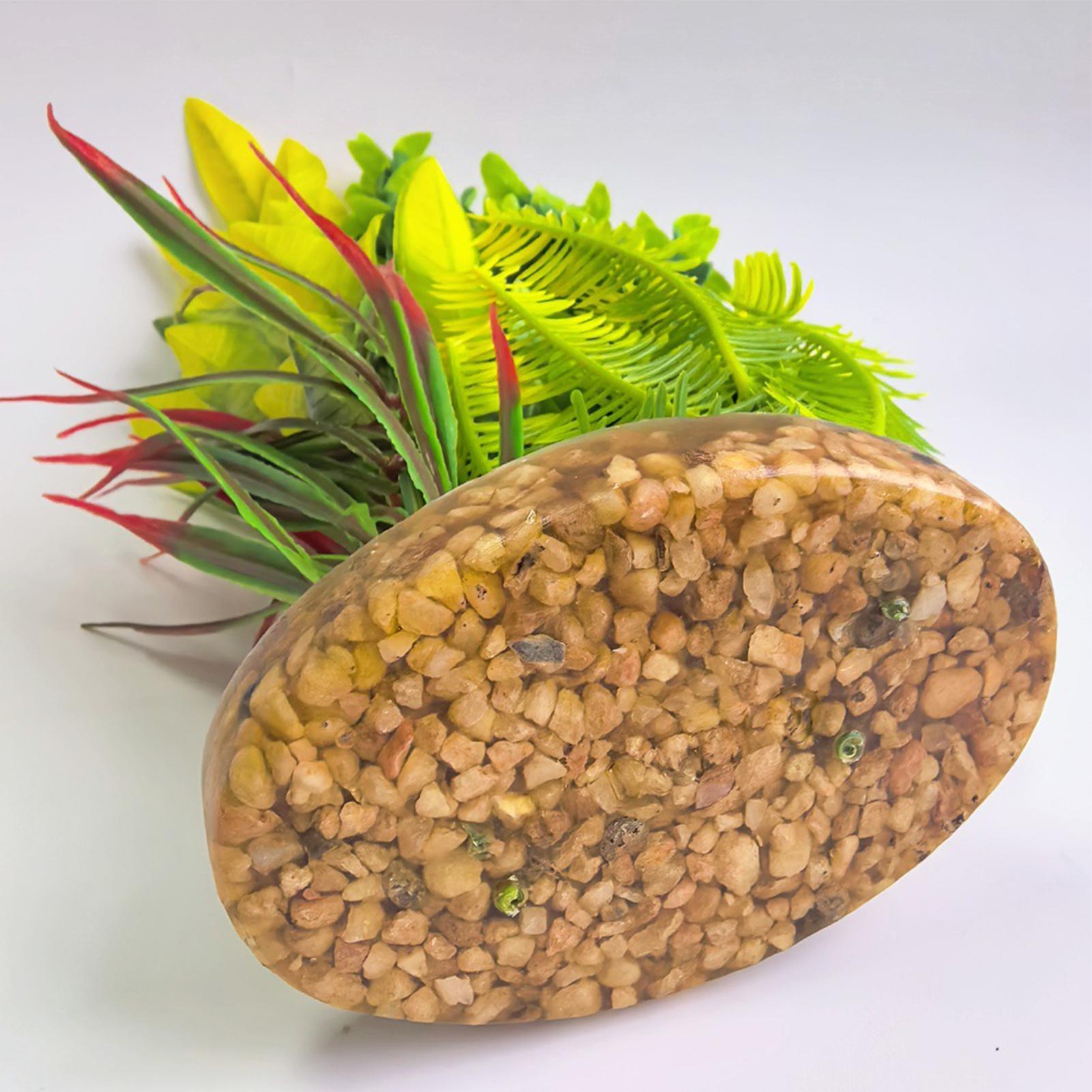 Artificial Aquarium Plants Fis - مراجعة Planted Aquarium For Beginners وسعره