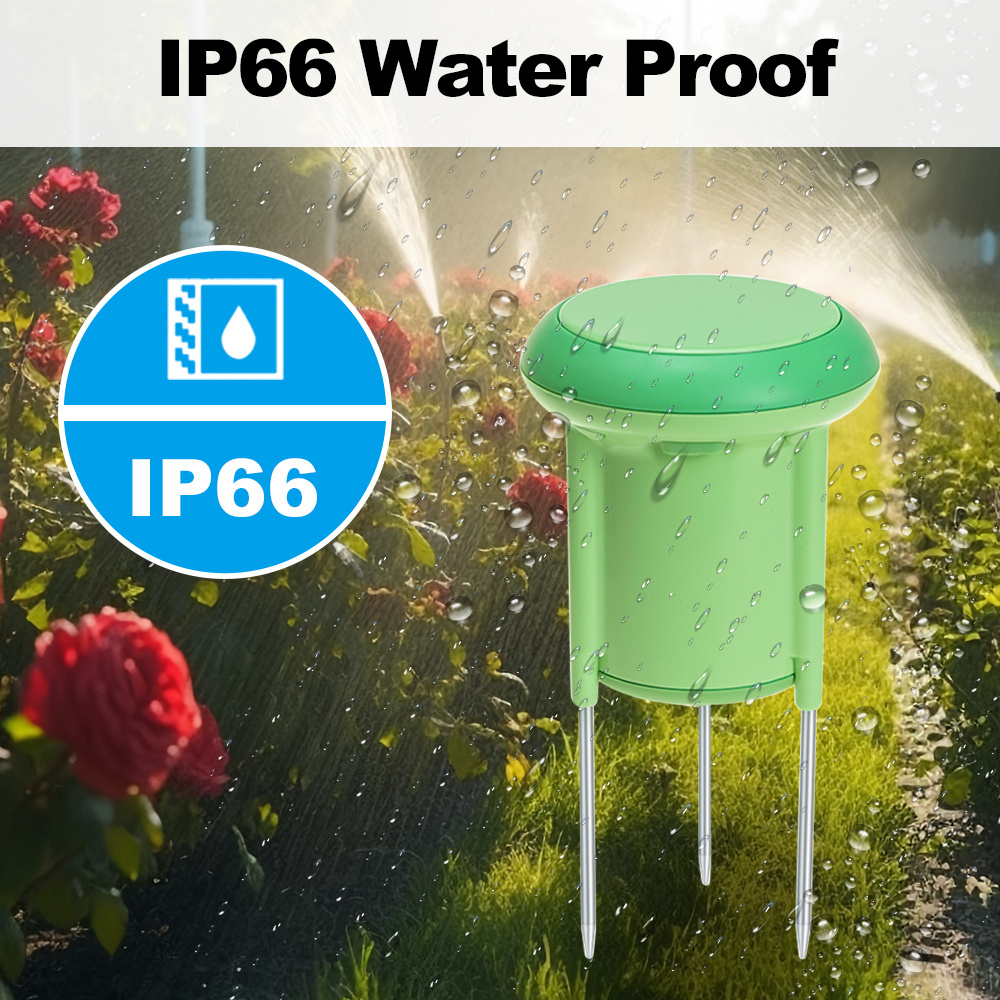 Zigbee Smart Soil Sensor Plant - مراجعة Tissue Culture Plant وسعره