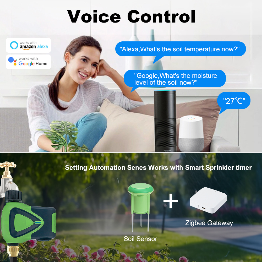 Zigbee Smart Soil Sensor Plant - مراجعة Tissue Culture Plant وسعره