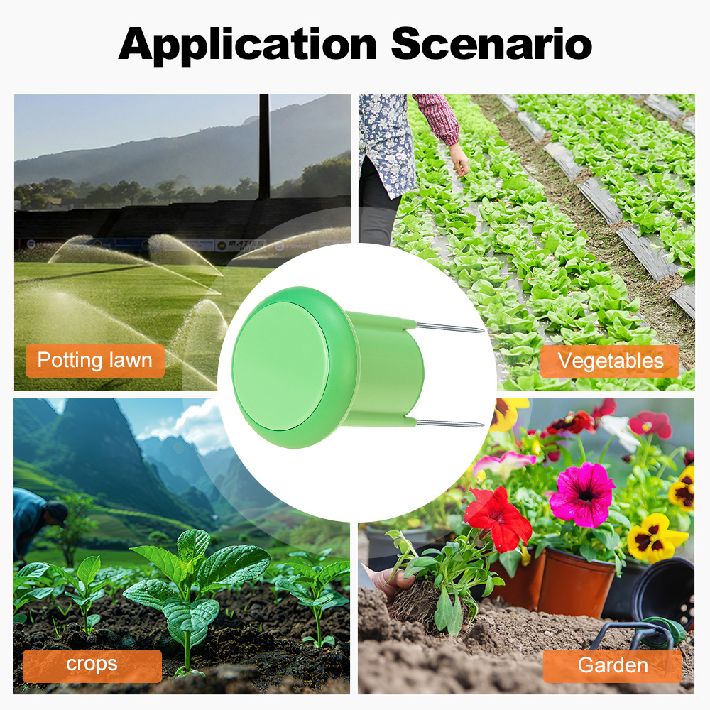 Zigbee Smart Soil Sensor Plant - مراجعة Tissue Culture Plant وسعره
