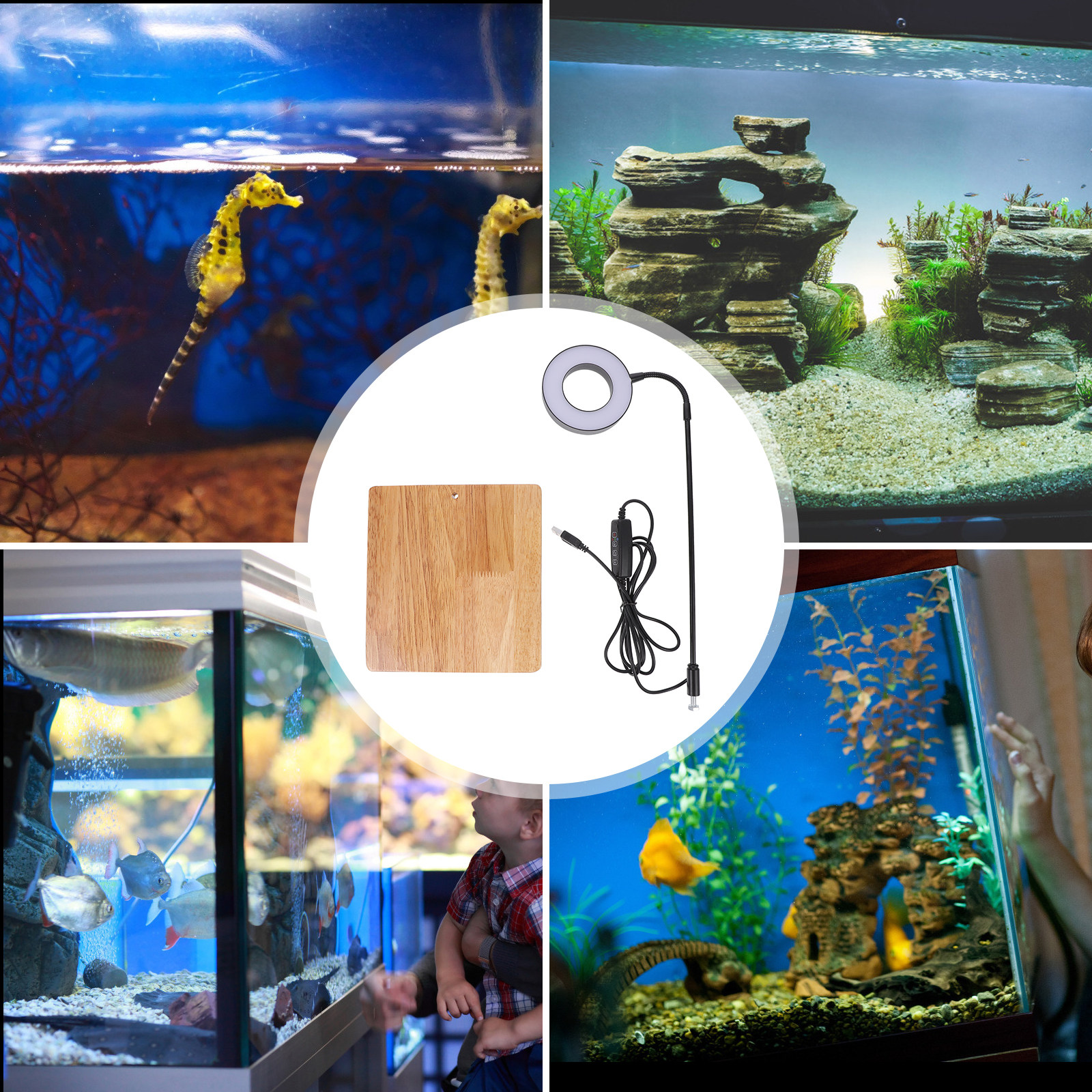 1Pcs Aquarium Fill Light High  - مراجعة Aquarium Plant Ornament وسعره