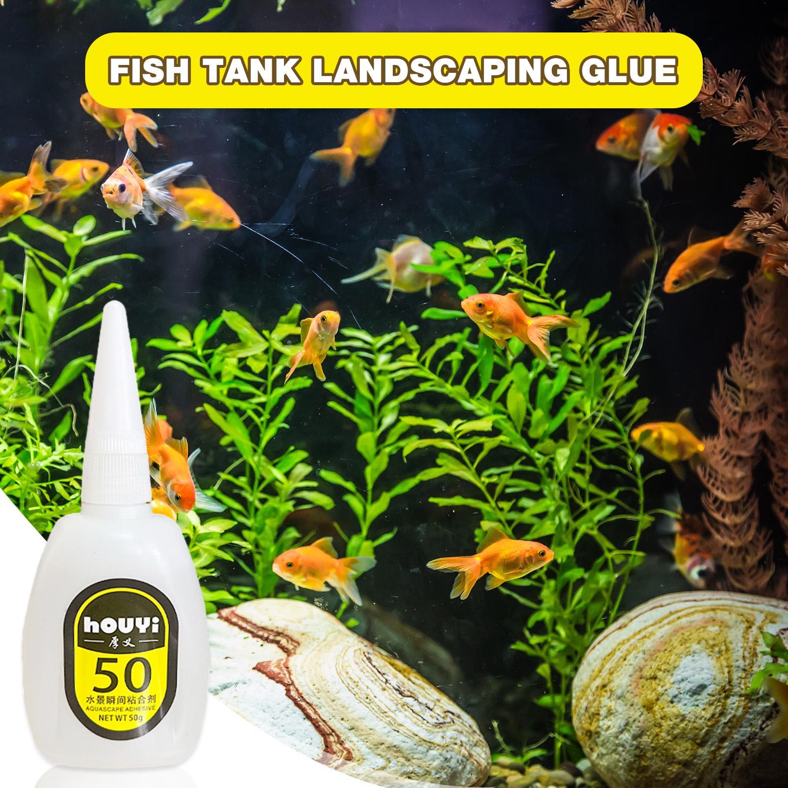 50/100g Clear Instant Glue Aqu - مراجعة Aquarium Plant Glue وسعره