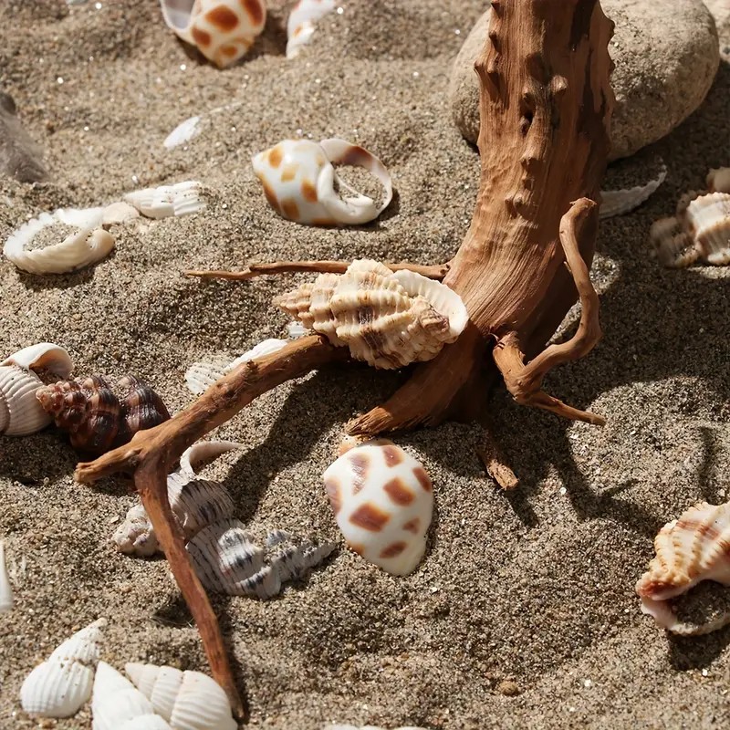 7-26CM 4 Sizes Driftwood Cucko - مراجعة Aquarium Plant Guide وسعره