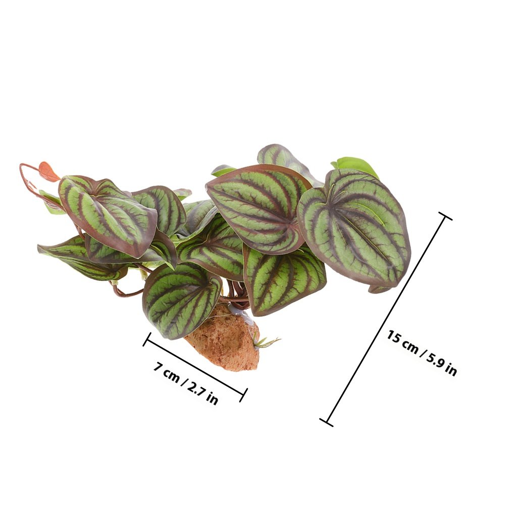 Lifelike Artificial Reptile Pl - مراجعة Aquarium Plant Ornament وسعره