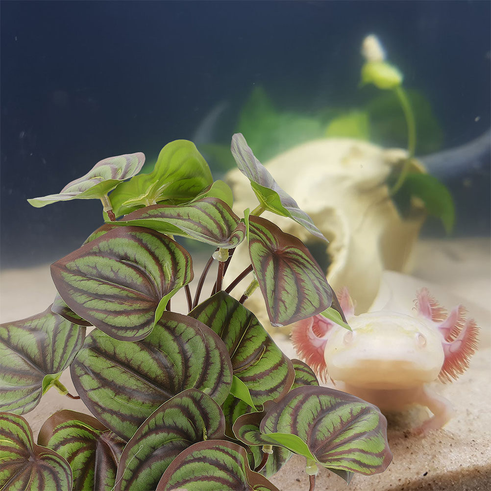 Lifelike Artificial Reptile Pl - مراجعة Aquarium Plant Ornament وسعره