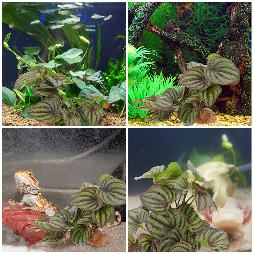 Lifelike Artificial Reptile Pl - مراجعة Aquarium Plant Ornament وسعره