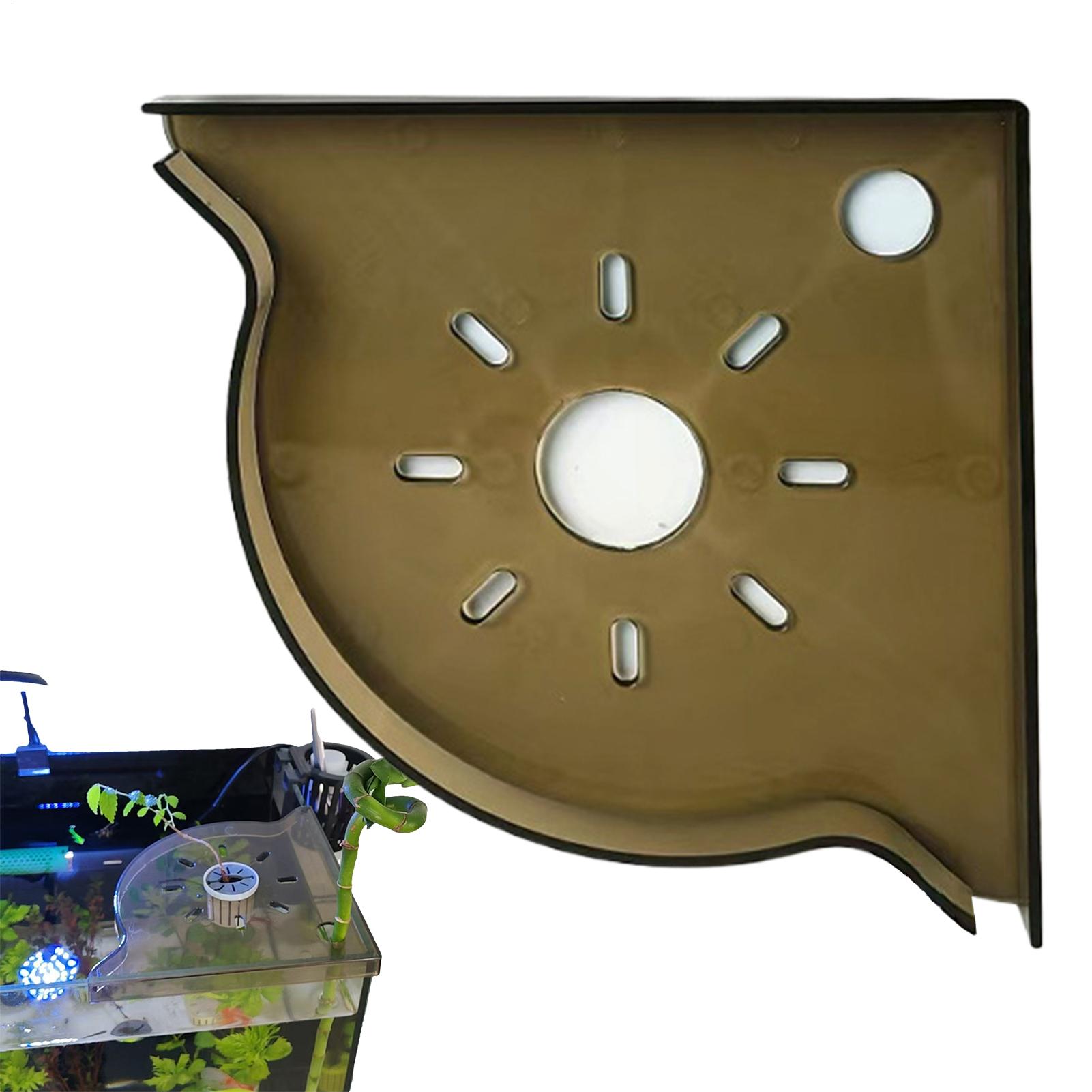 Aquarium Plant Holder Triangle - مراجعة Planted Aquarium For Beginners وسعره