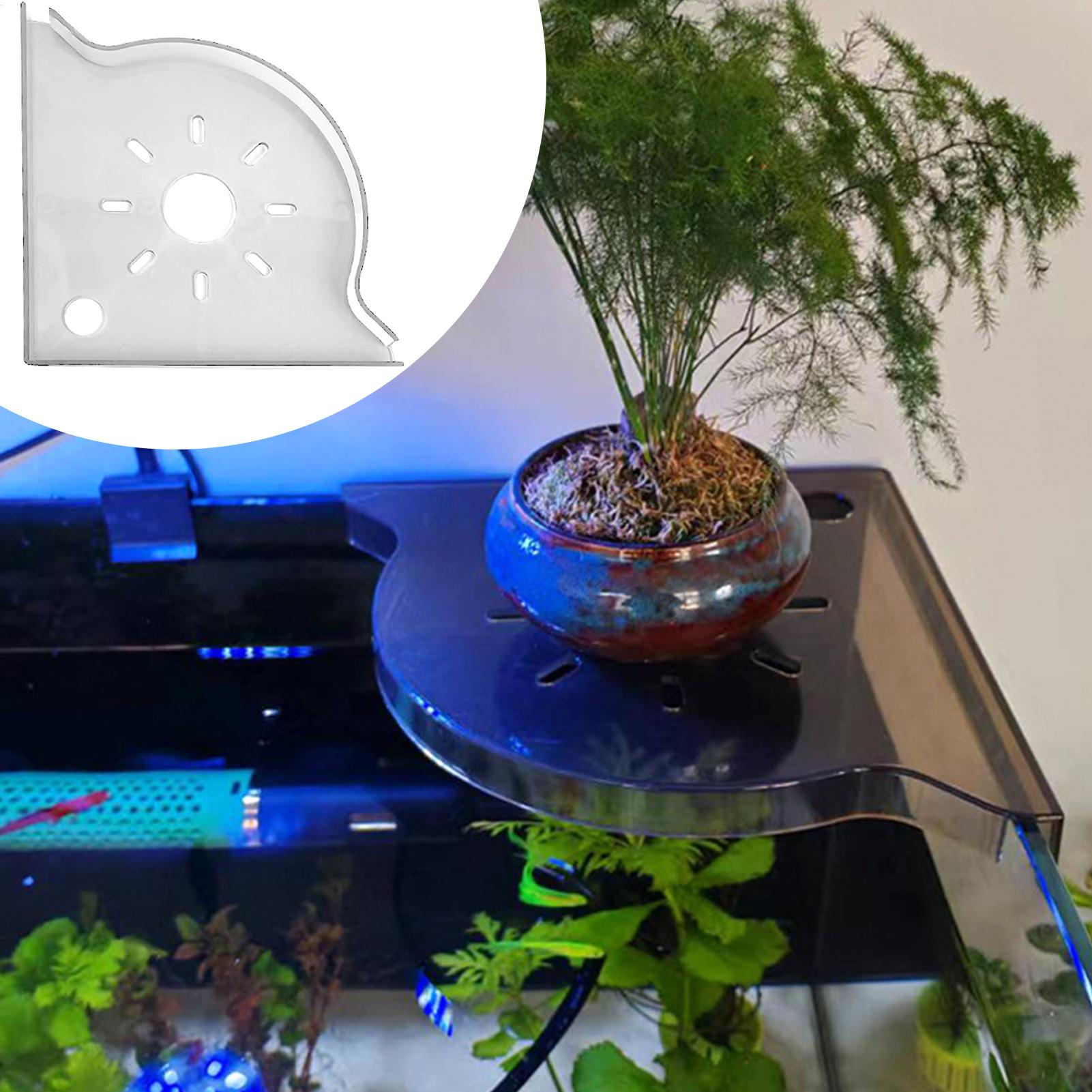 Aquarium Plant Holder Triangle - مراجعة Planted Aquarium For Beginners وسعره