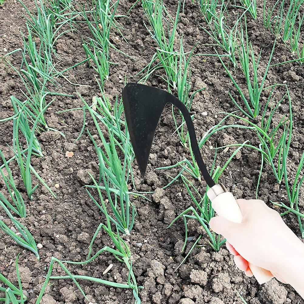 Farm Tools Hoes Triangle Furro - مراجعة Tissue Culture Plant وسعره
