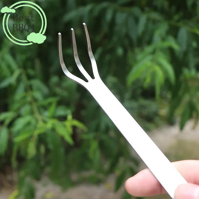 (BBQ4) 1Pc Stainless Steel Roo - مراجعة Tissue Culture Plant وسعره