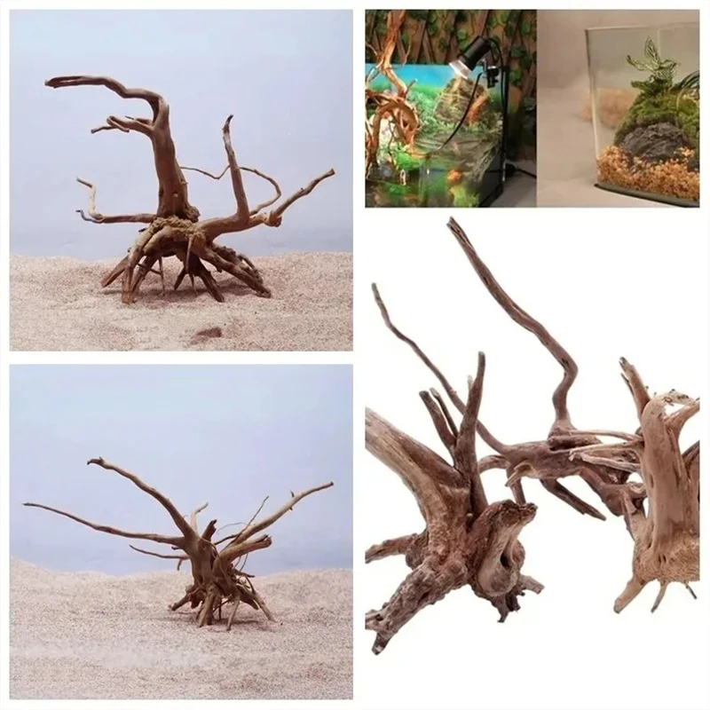 Natural Driftwood Cuckoo Roots - مراجعة Aquarium Plant Root Tabs وسعره