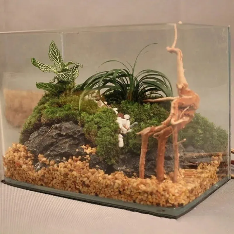 Natural Driftwood Cuckoo Roots - مراجعة Aquarium Plant Root Tabs وسعره