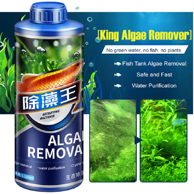 300ml 1/2PC Algaecide for Fish - مراجعة Aquarium Plant Root Tabs وسعره