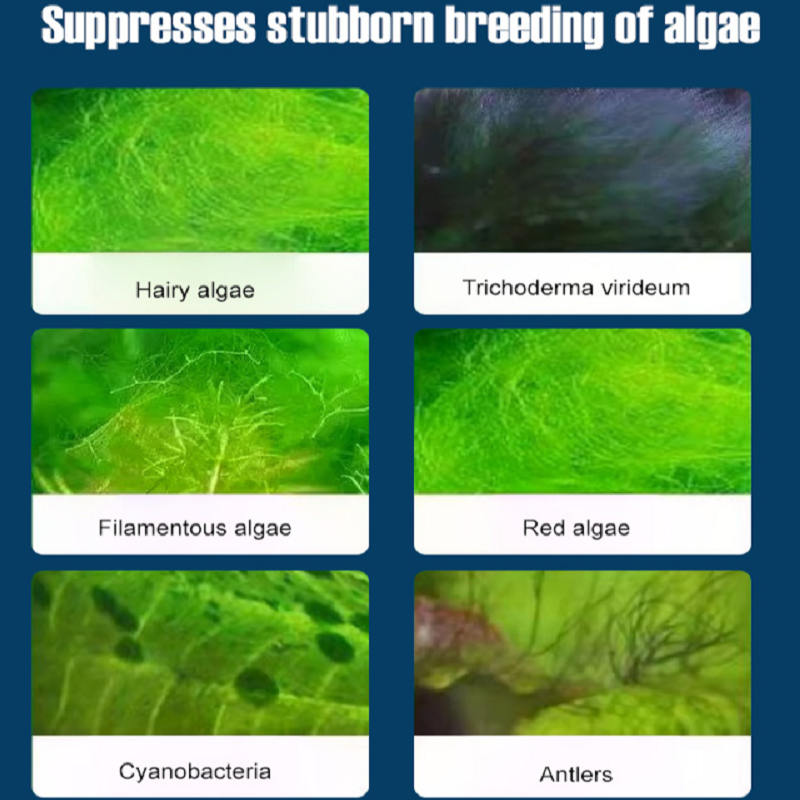 300ml 1/2PC Algaecide for Fish - مراجعة Aquarium Plant Root Tabs وسعره